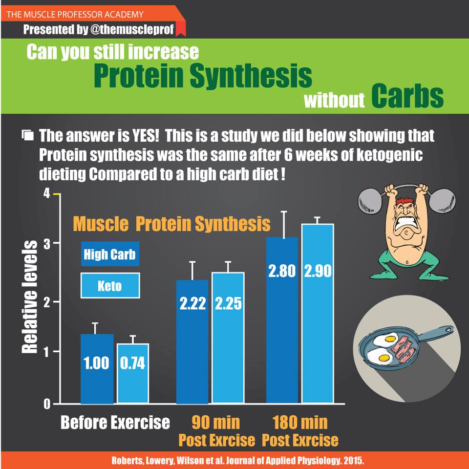protein synthesis without carbs equals with carbs