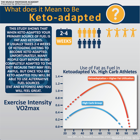 fat utilization in a keto-adapted athlete